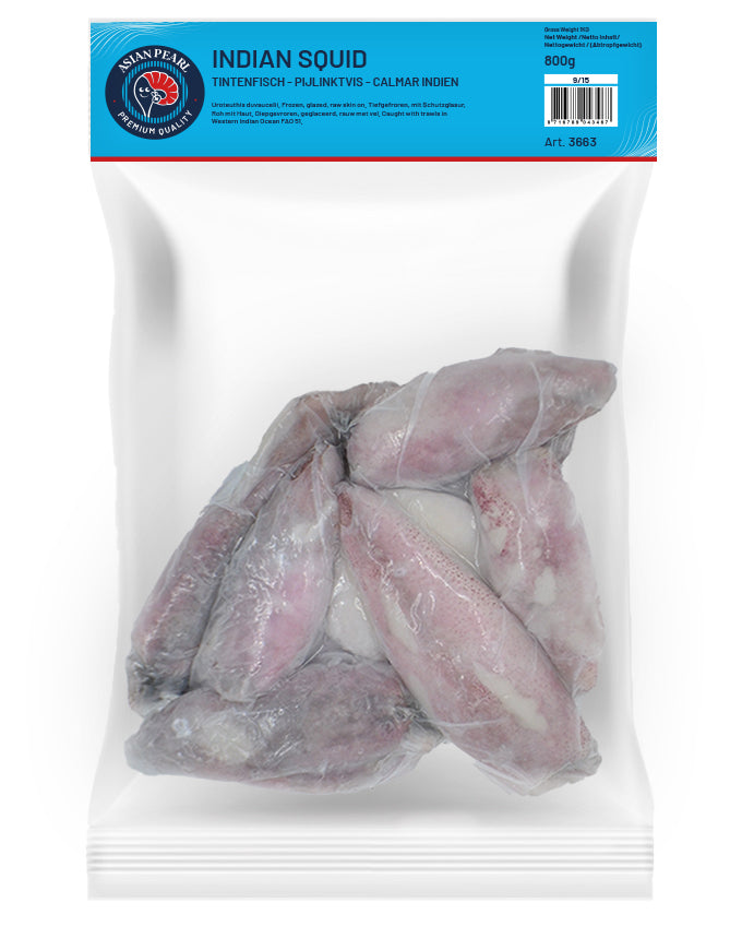 ANAM | Indian Squid Raw skin-on 9/15 CM | 带皮印度鱿鱼 | Intialainen kalmari nahallinen | Muc ong con vo