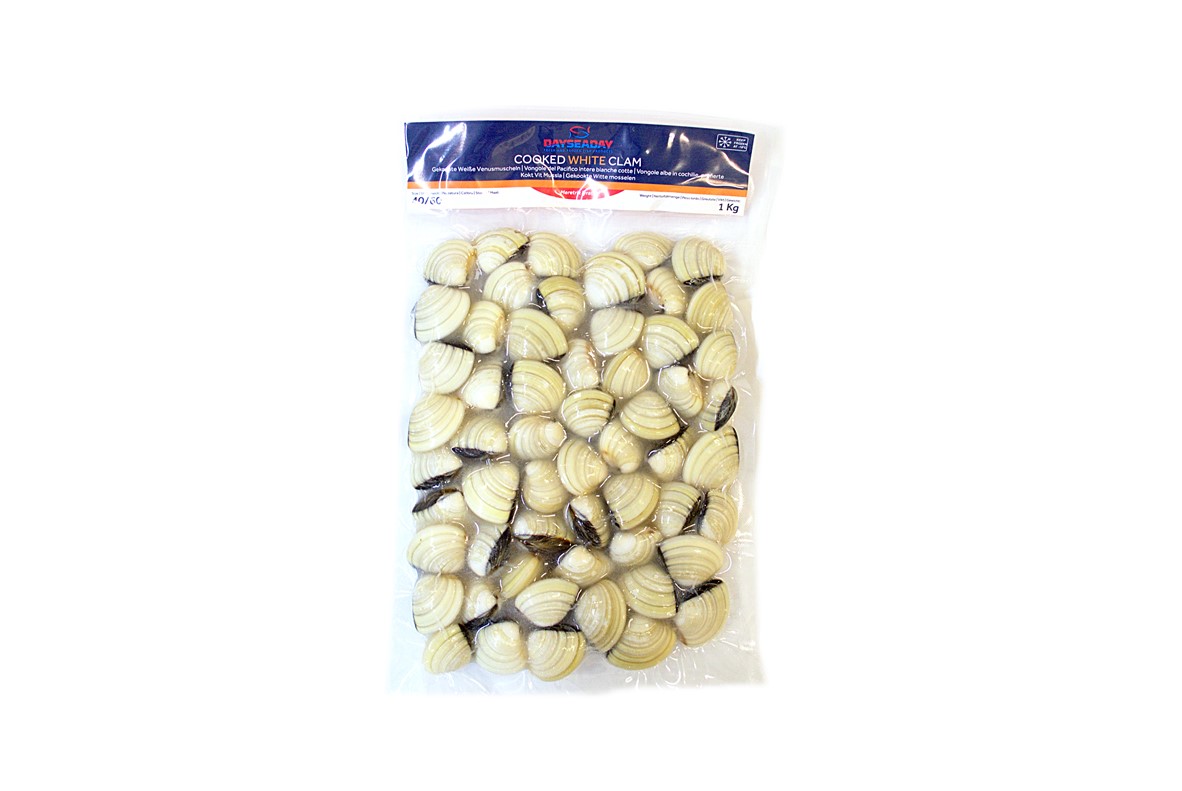 ANAM | DAYSEADAY Whole White Clam 40/60 - 1KG | 花蛤 | Ngao trắng nguyên con 1KG