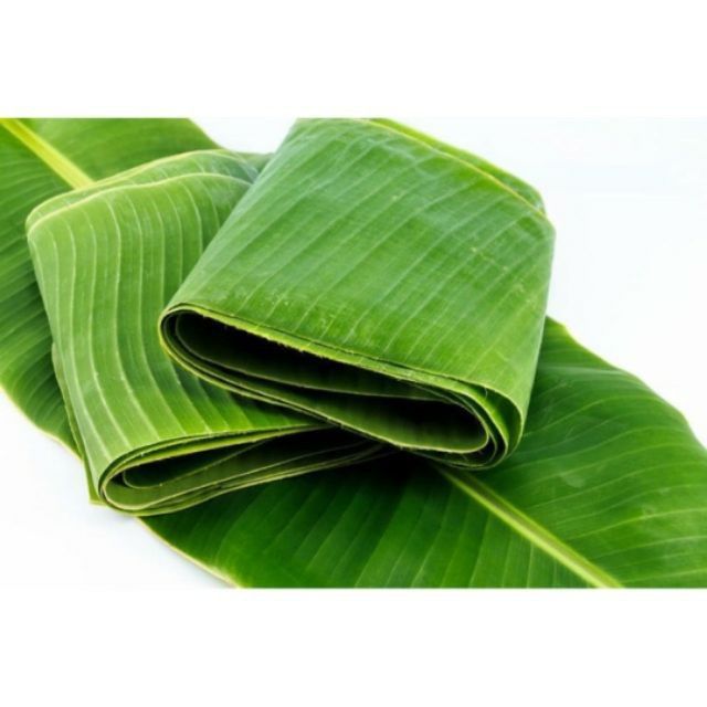 ANAM | Frozen Banana Leaves 454G | 香蕉叶 454克 | La chuoi 454g