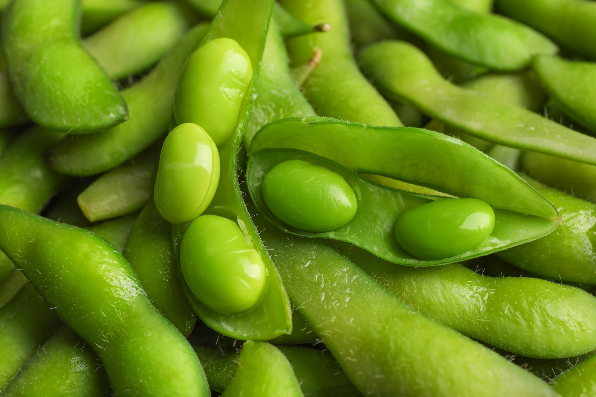 ANAM | Soybeans (Edamame) Cooked 1 kg | 熟毛豆 | Dau nanh Nhat luoc