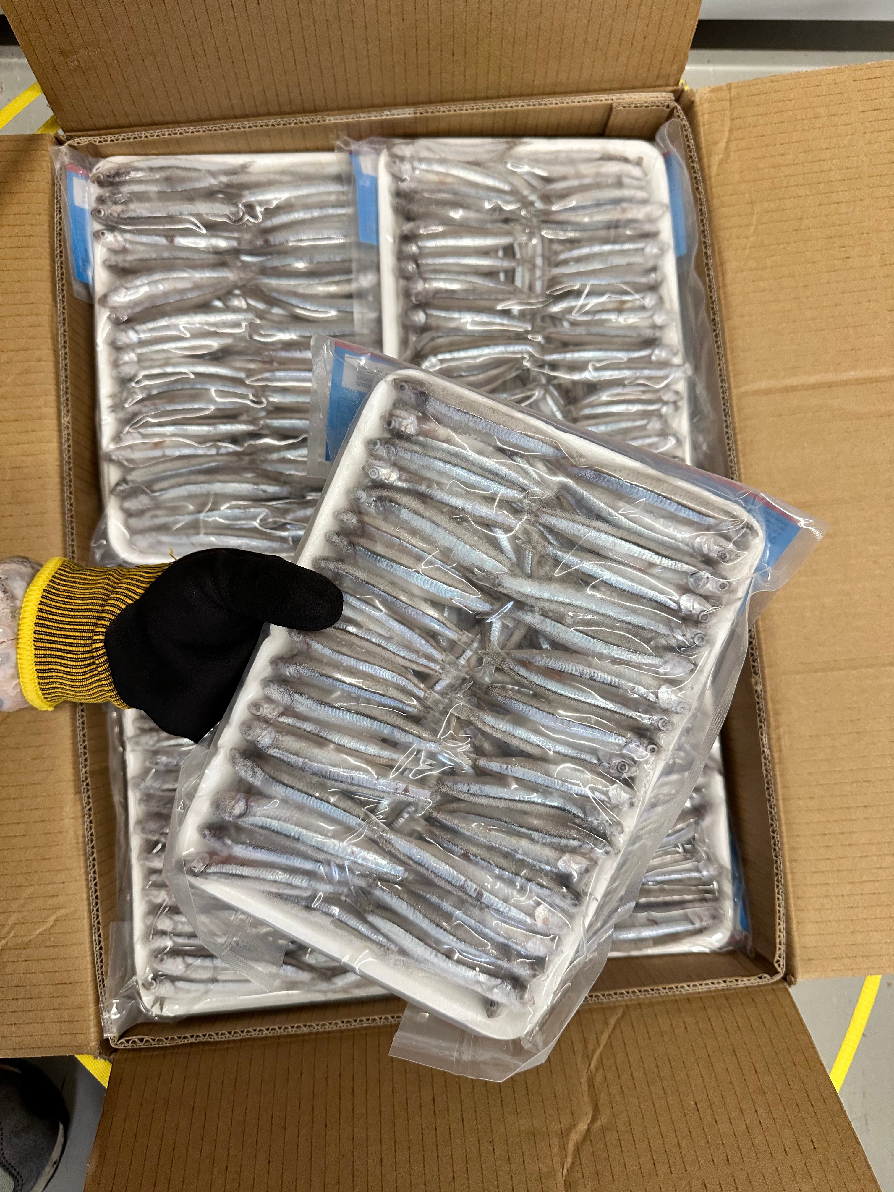 ANAM | Anchovy Raw whole (5–7 CM) 500G | 鳀鱼 整条生鱼| Ca com nguyen con 500g