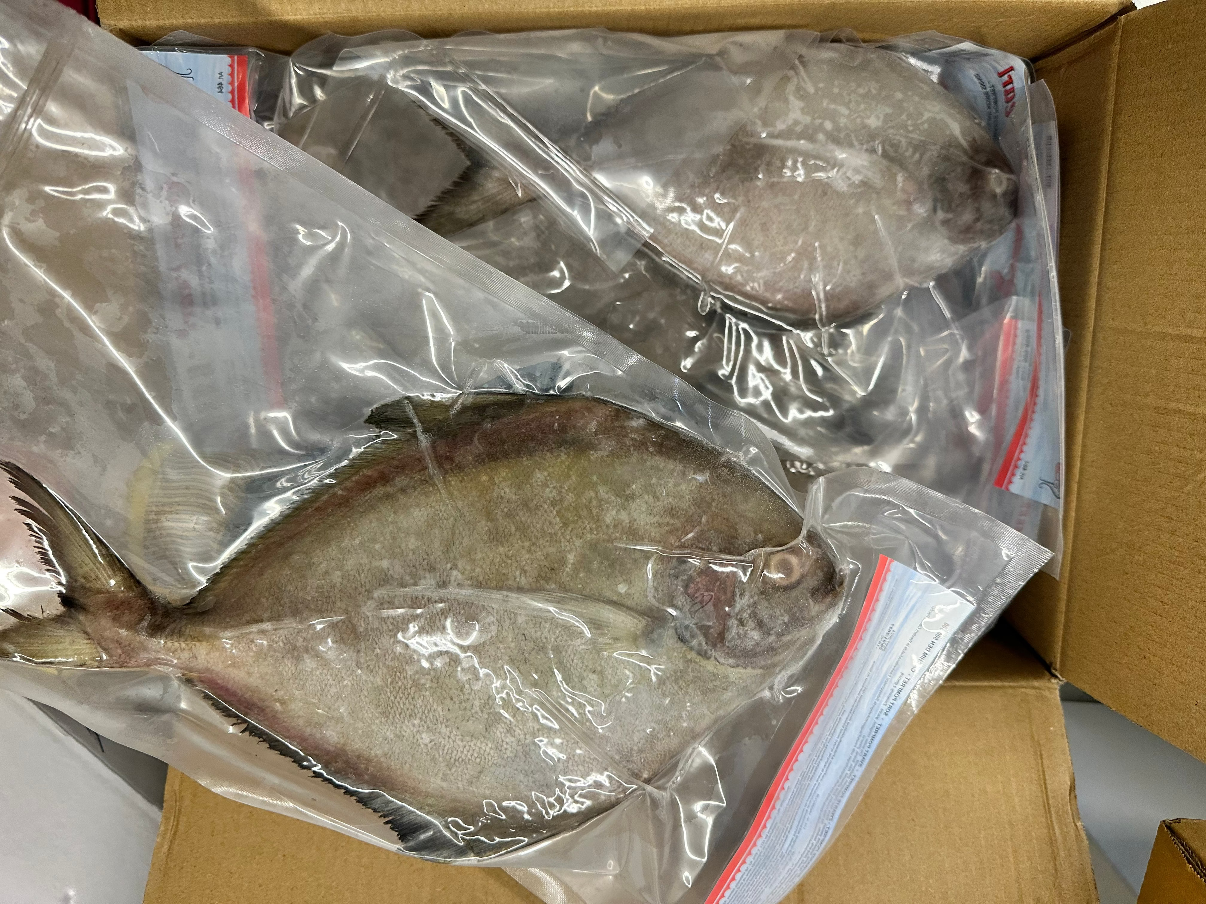 ANAM | Black Pomfret frozen whole round 700/800 | 黑鲳鱼 整条生鱼 700/800 | Ca chim den size 700/800