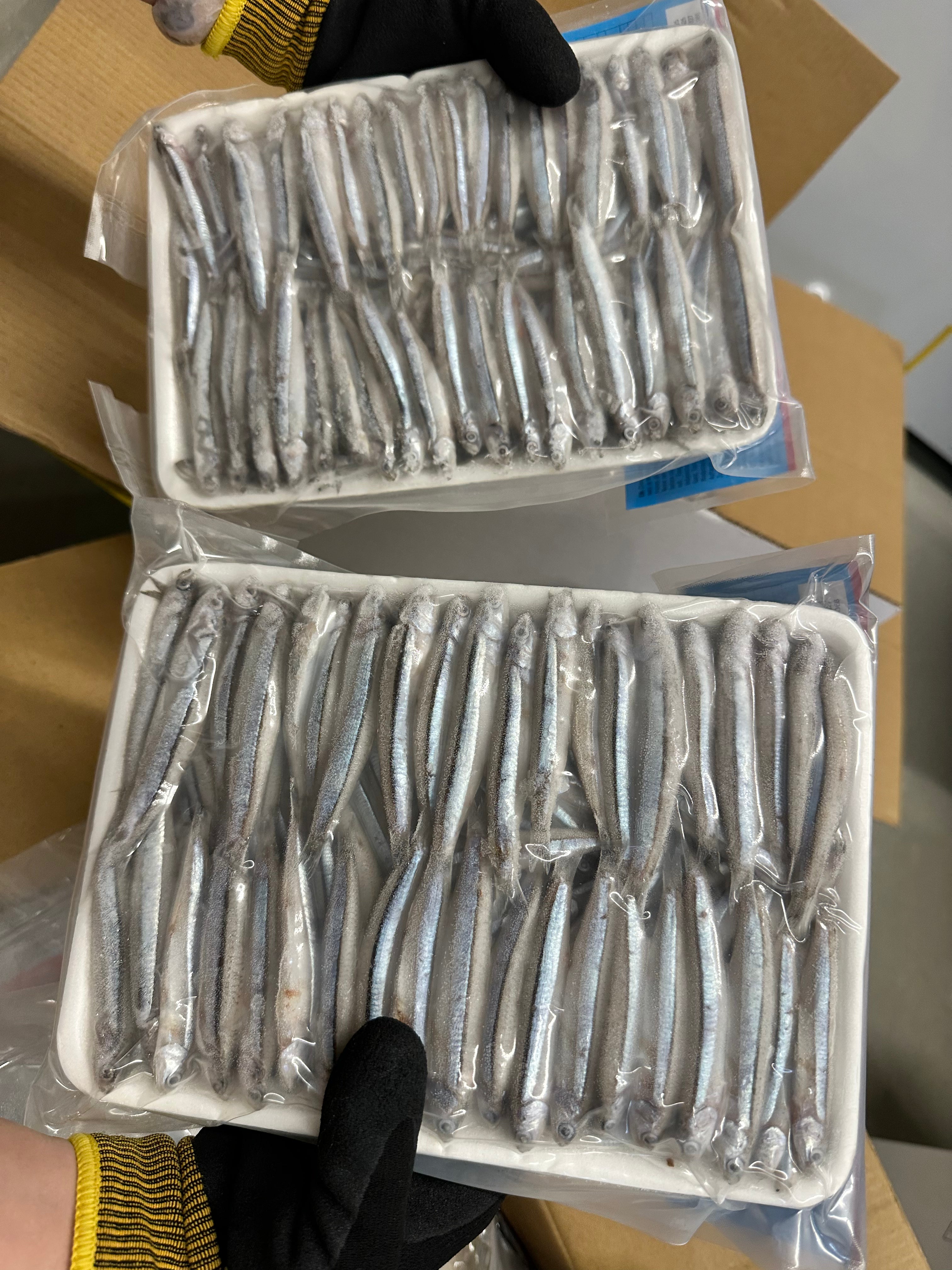 ANAM | Anchovy Raw whole (5–7 CM) 500G | 鳀鱼 整条生鱼| Ca com nguyen con 500g