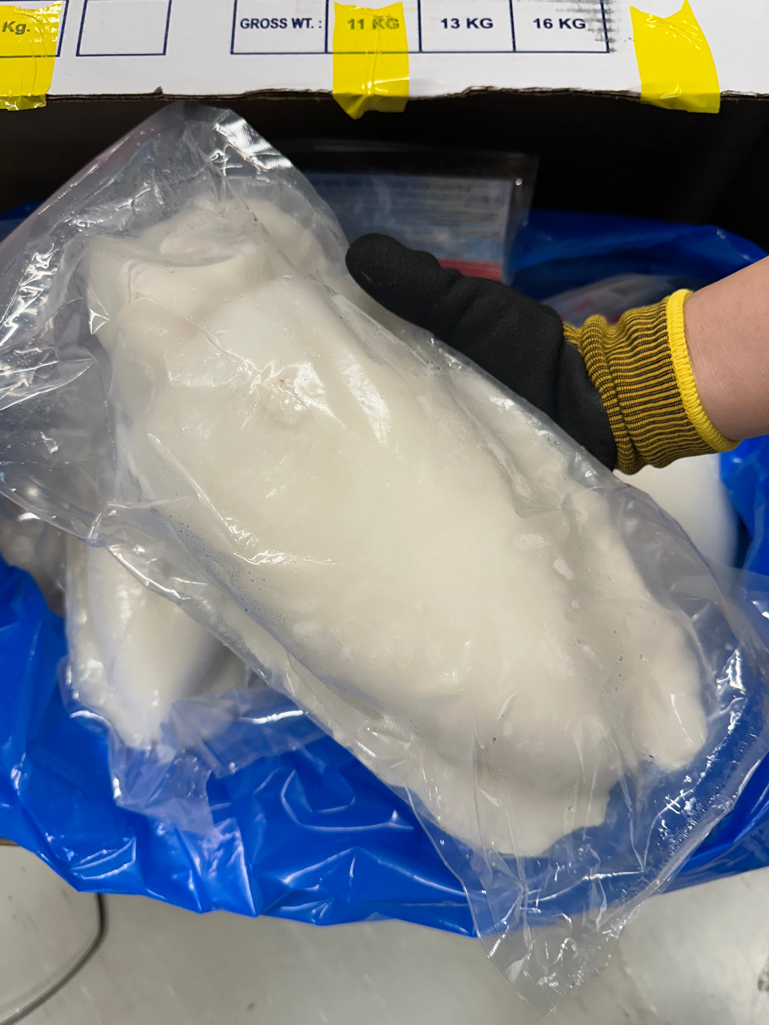 ANAM | Mooijer Pharaoh Cuttlefish Raw cleaned 1/2 ~800G | 法老乌贼 去内脏生的 1/2 | Muc nang Pharaoh 1/2