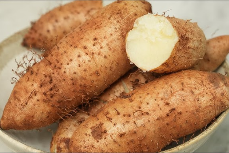 ANAM | Yam Cooked 500 g | 熟山药 | Cu tu chin