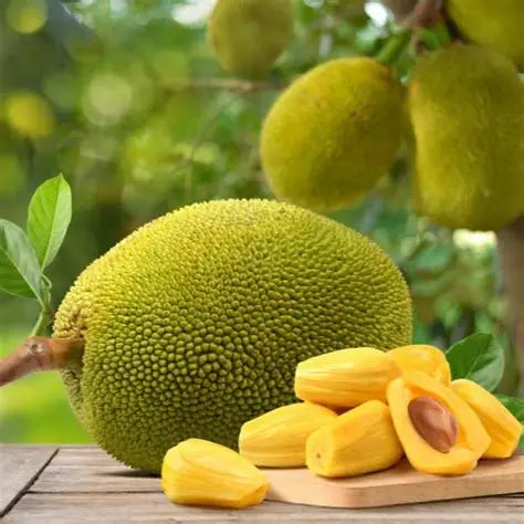 ANAM | Fresh Jackfruit | 冰冻波罗蜜 | Mit Tuoi