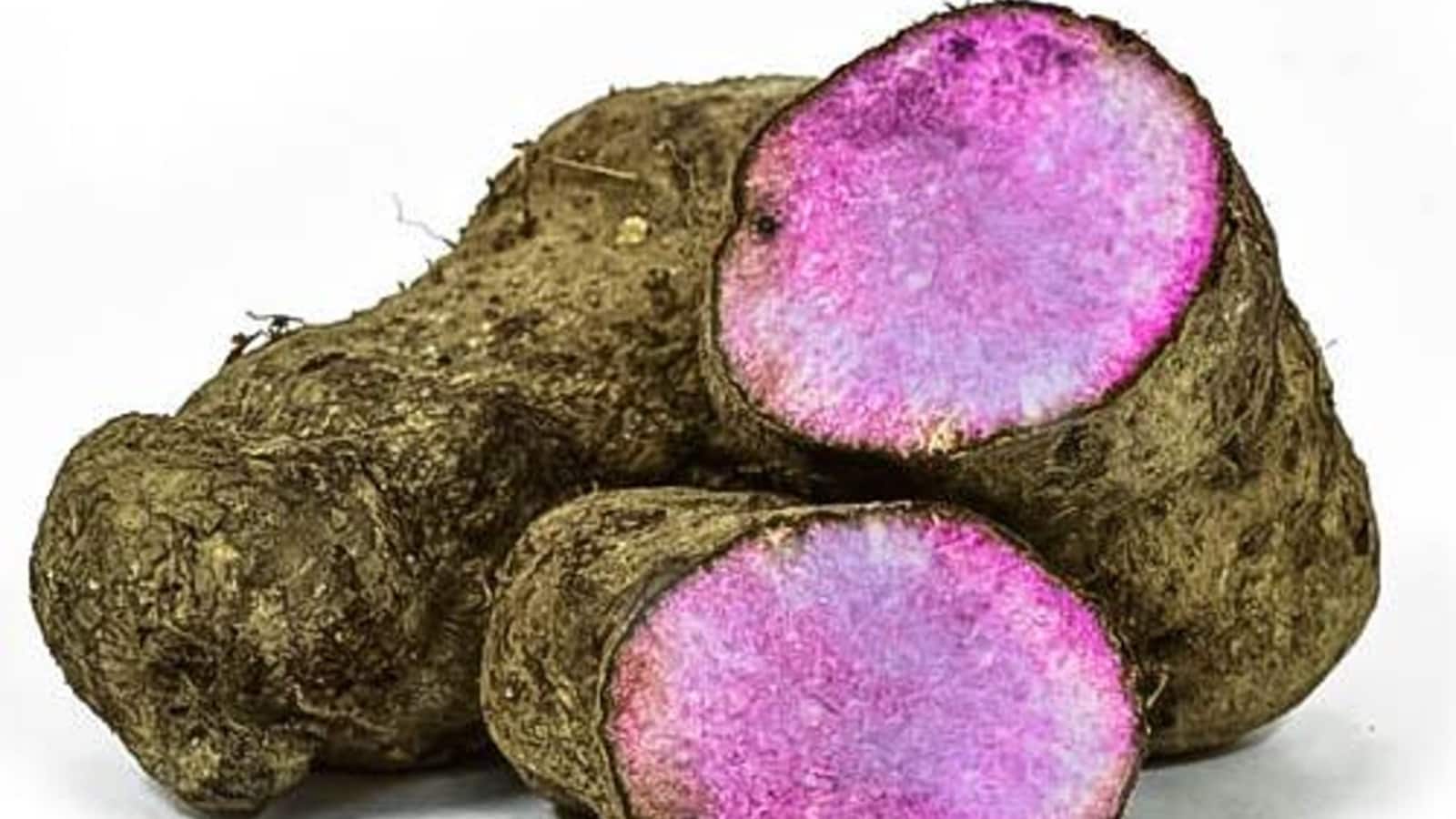 ANAM | ASIAN CHOICE - Yams Purple Half cut 500G | 紫薯块 | Khoai mo tim