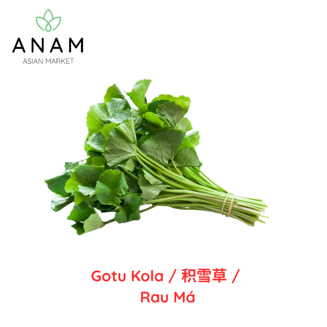 ANAM | Pennywort| Bai Bua Bok ใบบัวบก | 积雪草 | Rau Ma