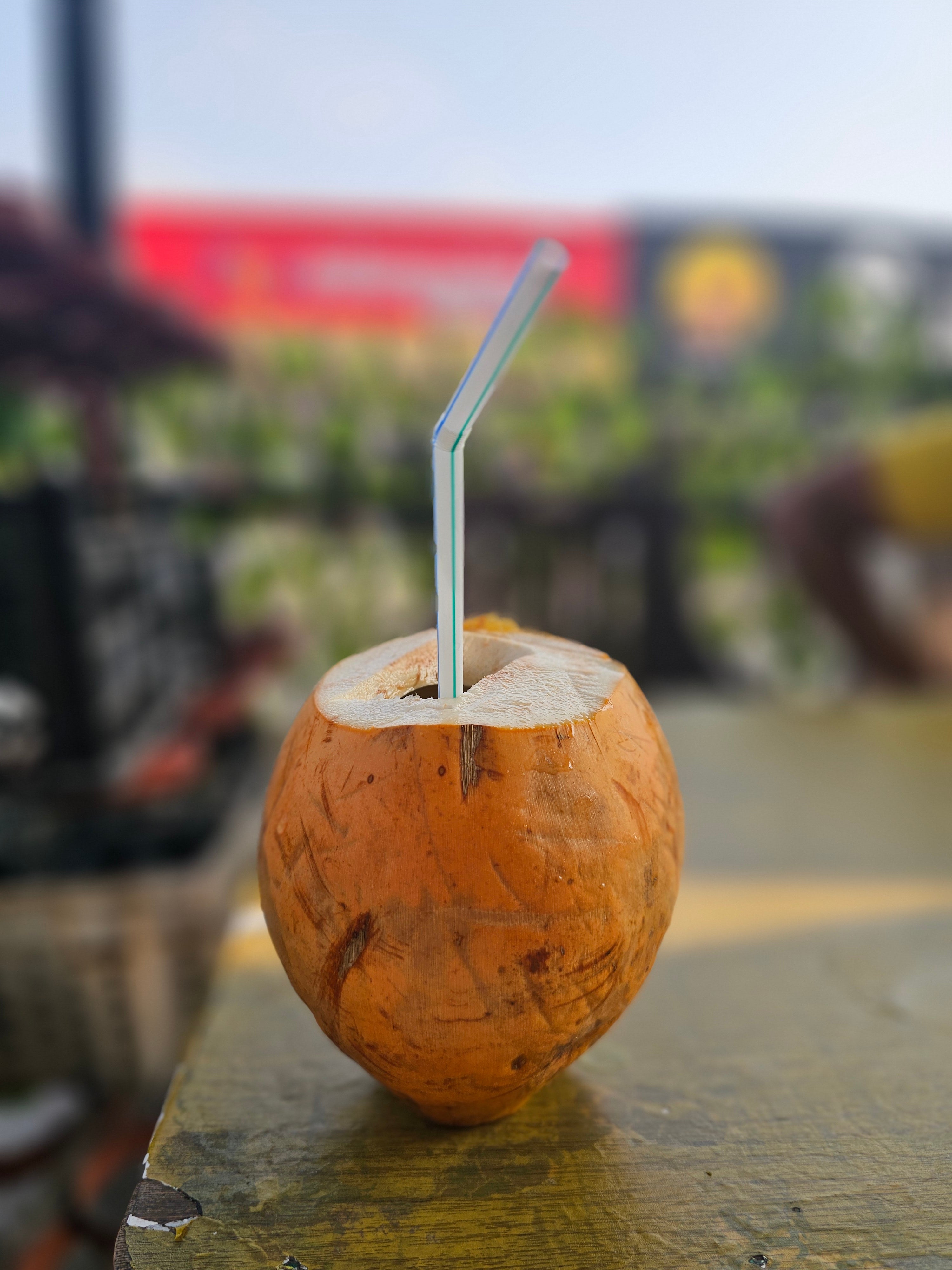 ANAM | Young Coconut| 嫩椰子 | Nuori kookos | Dua tuoi