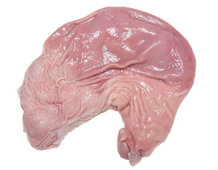 ANAM | Vivasie Pork Stomach 1 kg | 猪肚 | Bao tu heo