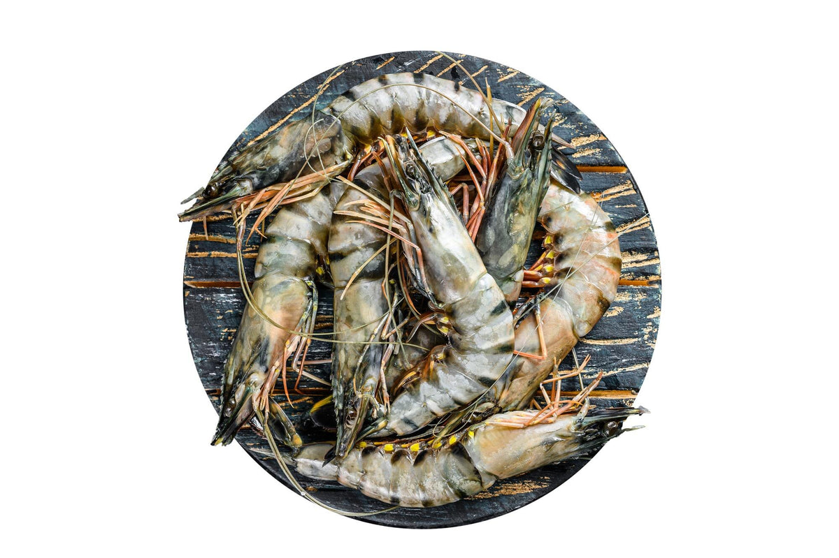 ANAM | Black Tiger Shrimps Head On Shell On 8/12 10x1kg | 黑虎虾生鲜带头带壳| Raakoja mustia tiikerikatkarapuja päällä ja kuorella| Tom su nguyen con | กุ้งกุลาดำดิบทั้งหัวทั้งเปลือก