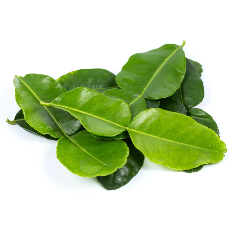 ANAM | Frozen Lime Leaves 100g | 冷冻酸橙叶 | La Chanh 100g