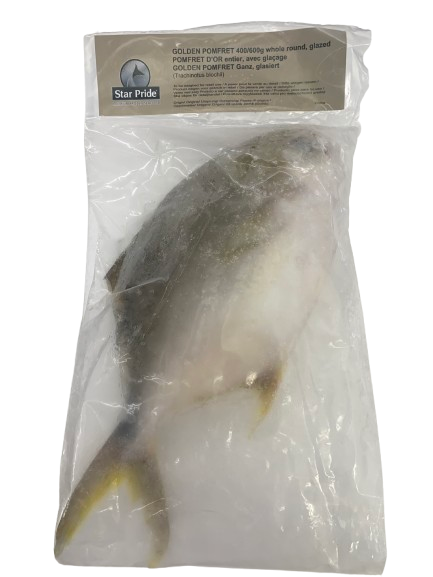 ANAM | Pomfret Gold 600/700g | 金鲳 | Cá Chim Vàng 600/700g