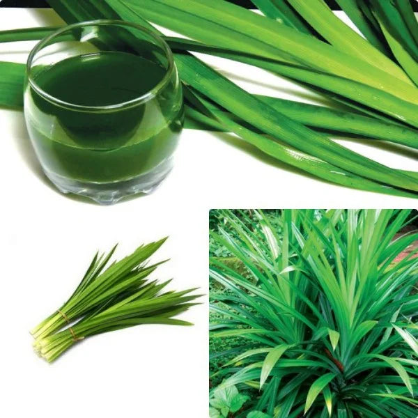 ANAM | ASIAN CHOICE - Pandan Leaves 200G | 班兰叶 | La dua