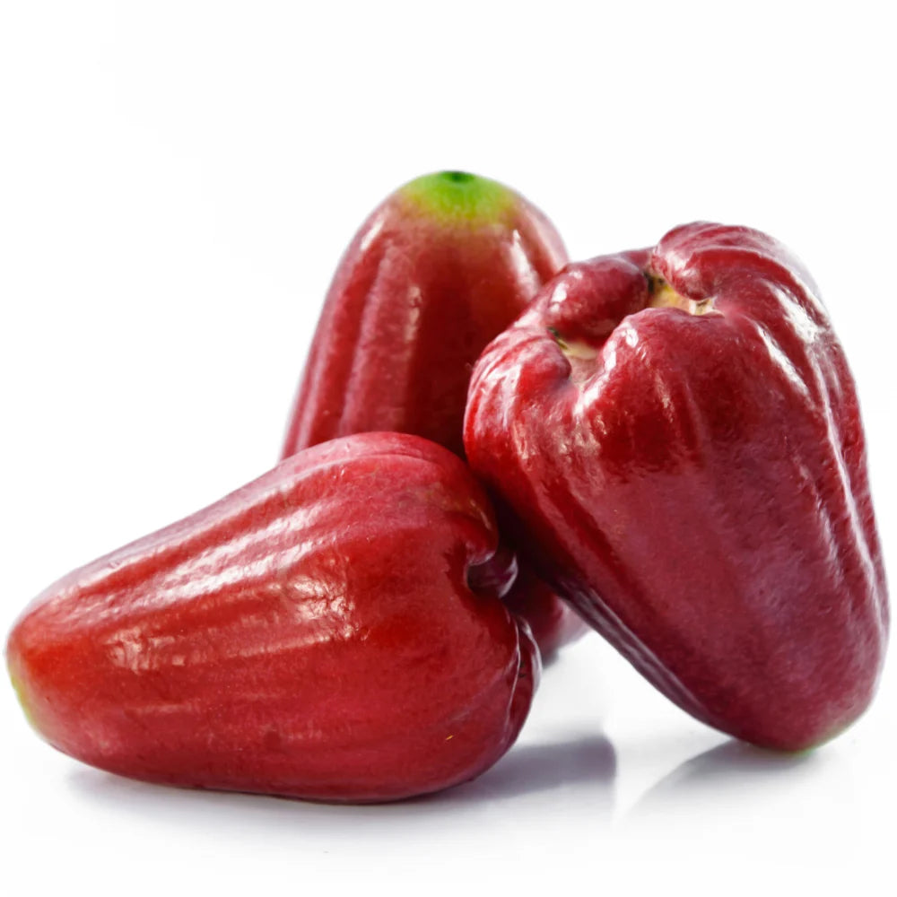 ANAM | Rose apple | ชมพู่ (Chomphu) | Man do 500g