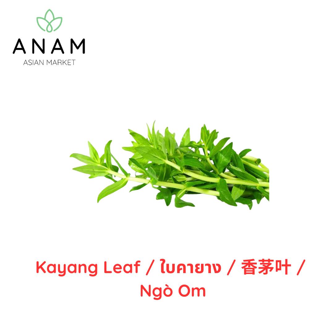 ANAM | Rice Paddy Herb - kpl | 稻香草 (Mò Om) | Rau ngo om