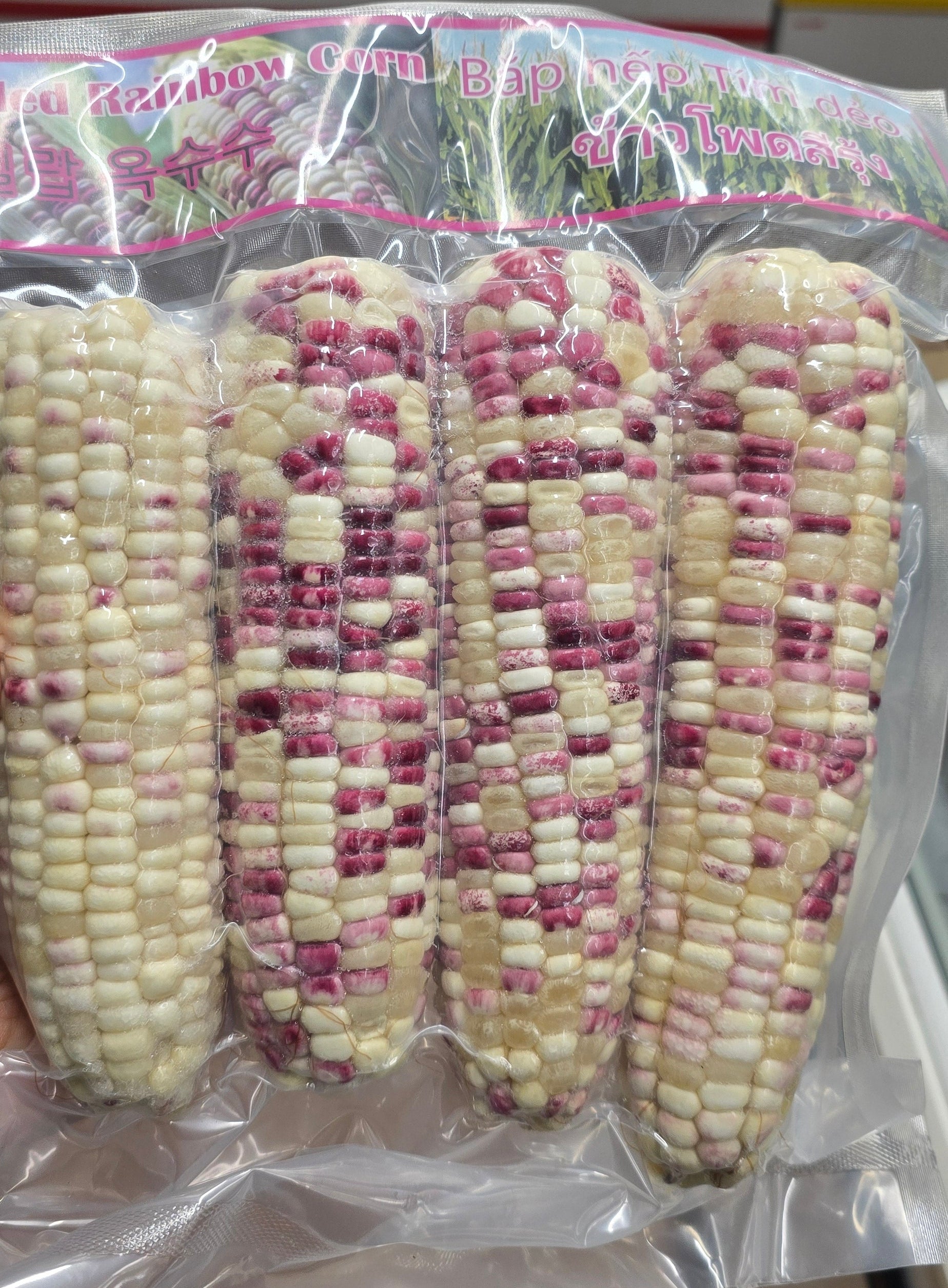 ANAM | Frozen Rainbow Sweet Corn 1 KG | 紫糯玉米 | Bap nep tim 1kg