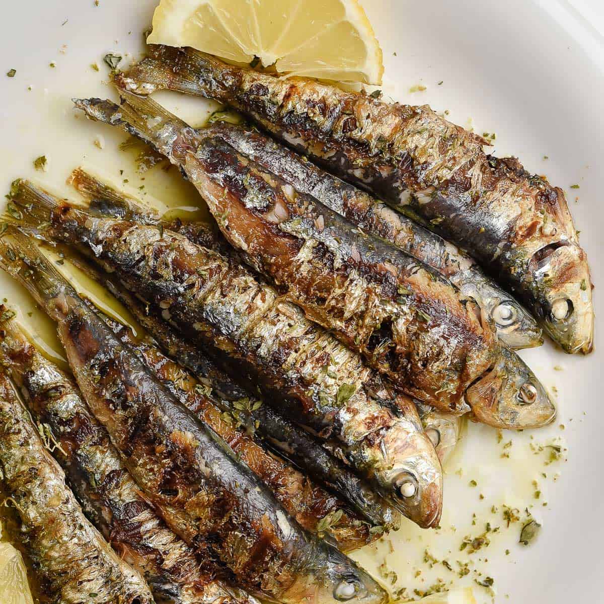 ANAM | Sardines 8/12 1 KG | 冷冻沙丁鱼 | Ca moi| Sardinas | ปลาซาร์