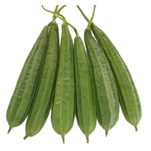 ANAM | Turai-Luffa 1 KPL – Trai muop tuoi