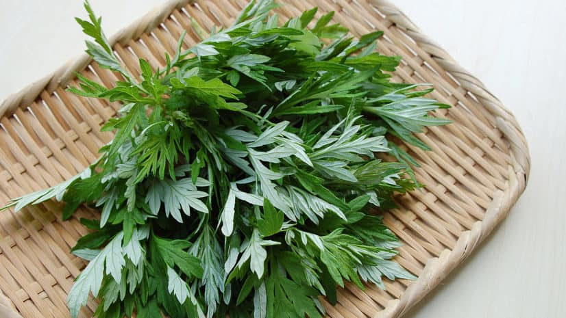 ANAM | Mugwort Leaves - 100g | Koiruohon lehdet | 艾草 | Ngai Cuu