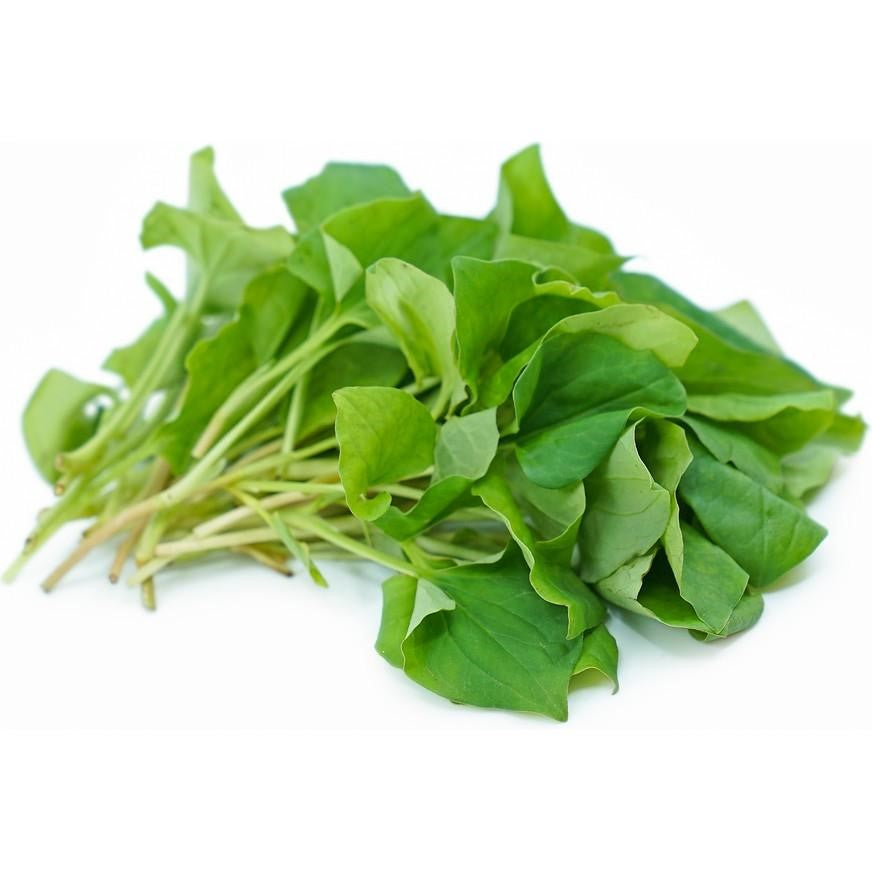 ANAM | Plu Kaow/Fish Mint 100g | 鱼腥草 | Diếp cá 100G