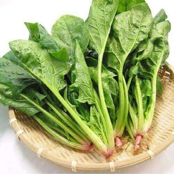 ANAM | Spinach / Bok Choy | 菠菜 | Cai bo xoi / Cai choy
