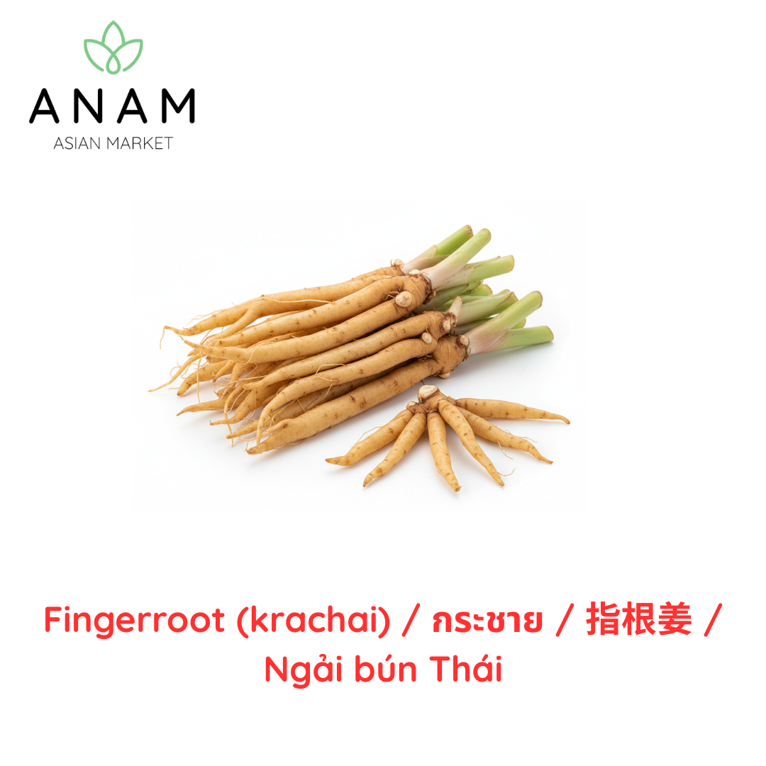 ANAM | Finger root Krachai  | 姜黄 | Ngai bun