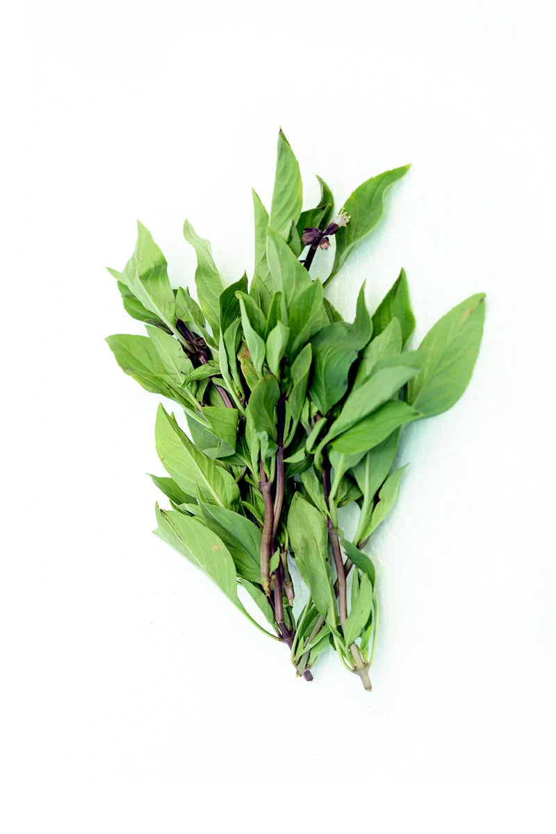 ANAM | Thai Sweet Basil - kpl | 泰国罗勒 | Hung que