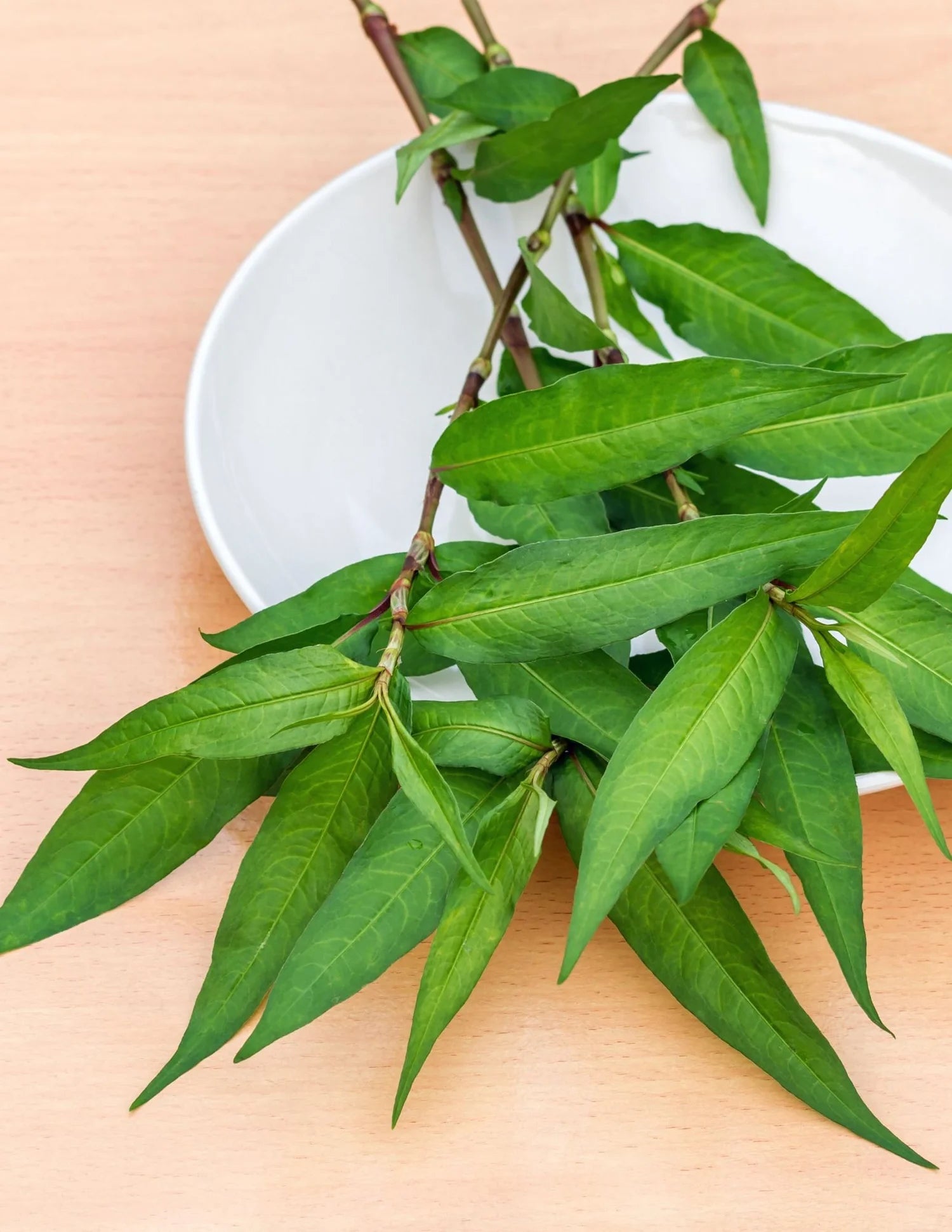 ANAM | Vietnamese Coriander - kpl | 越南香菜 | Rau ram