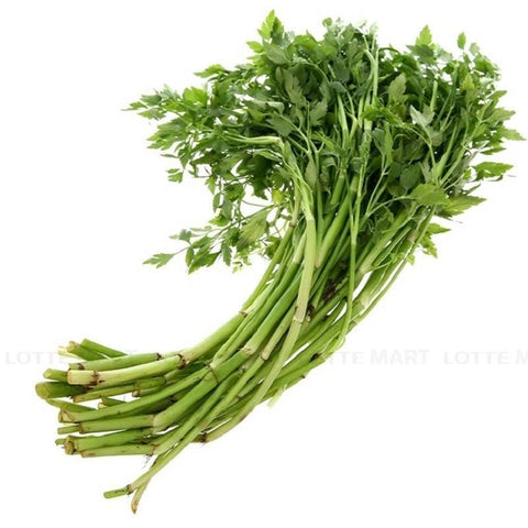 ANAM | Water Dropwort - kpl | 水芹 | Can nuoc