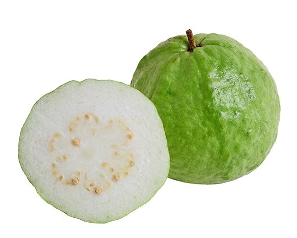 ANAM | Guava 1kg | 番石榴 | Trai oi tuoi