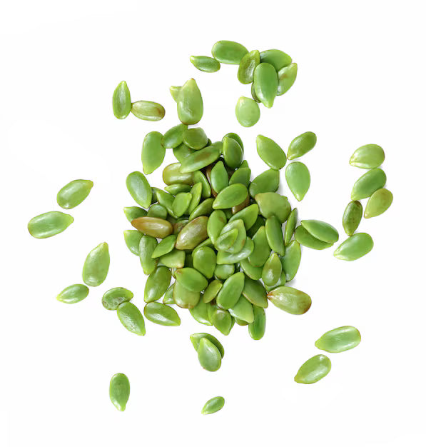 ANAM | Leucaena Seeds | 银合欢种子 | Hat keo khac