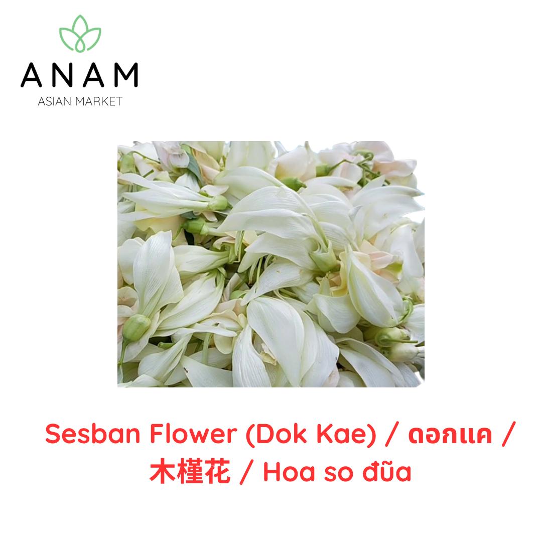 ANAM | Sesbania Flower | 蜂鸟花 | Bong so dua