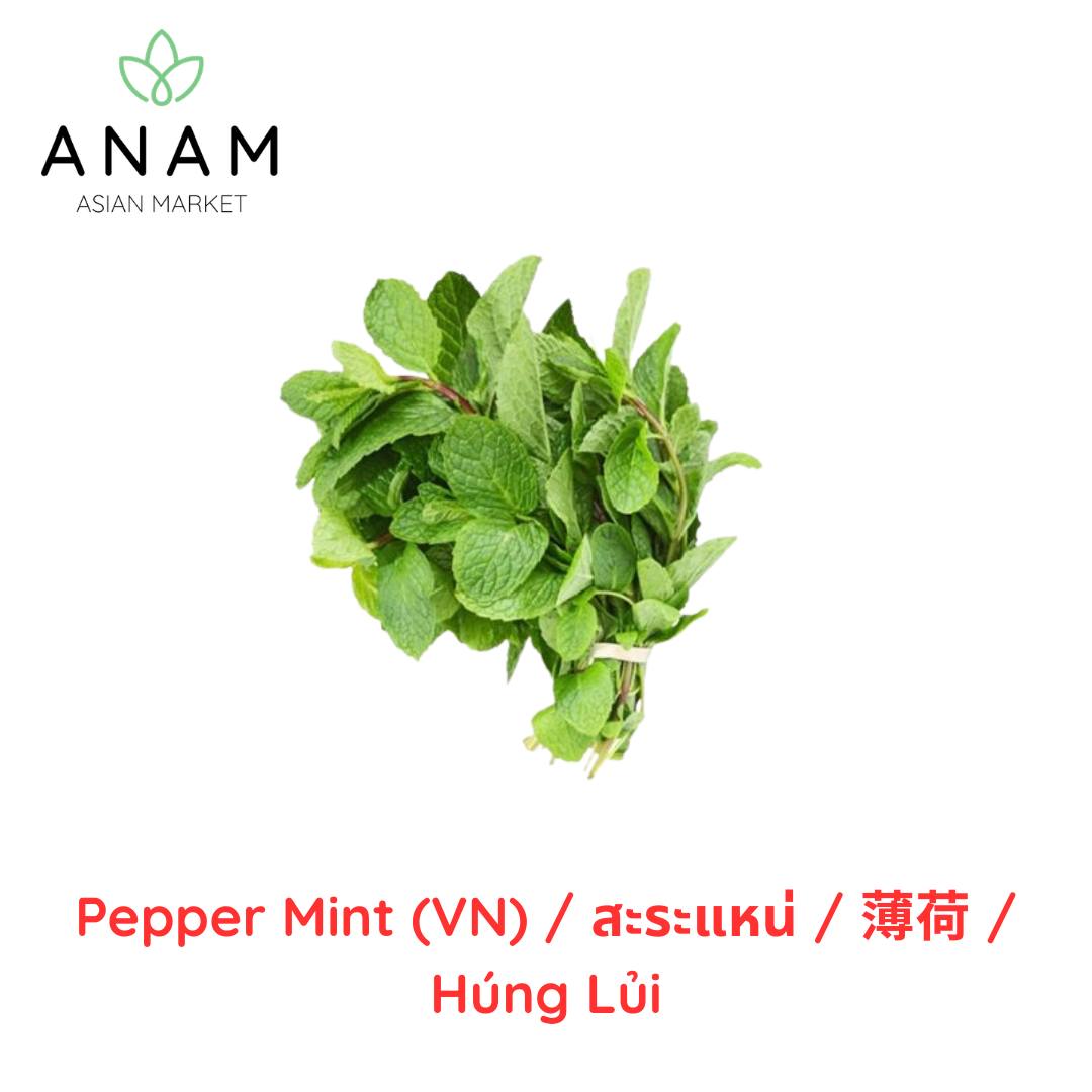 ANAM | Water Mint | 水薄荷 | Hung lui