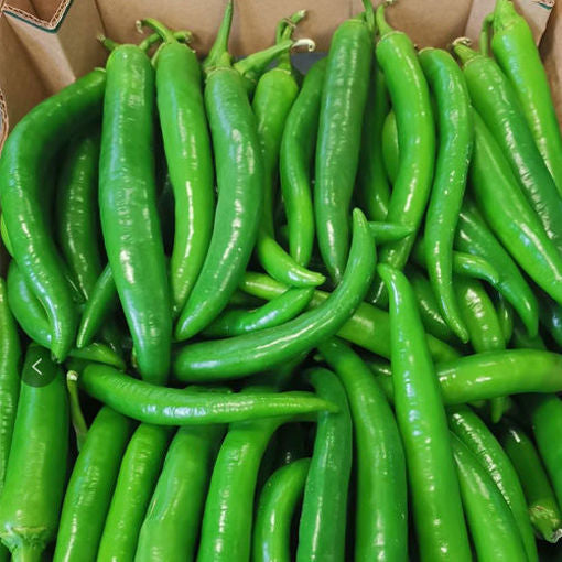 ANAM | Fresh Green Pepper 1kg | 新鲜青尖椒 1公斤 | Tuore vihrea chili 1kg | Ot xanh tuoi 1kg