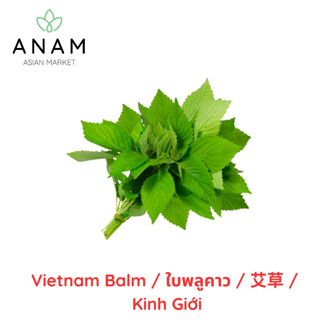 ANAM | Vietnamese Balm / Cockscomb Mint - kpl | 香薷 | Kinh gioi