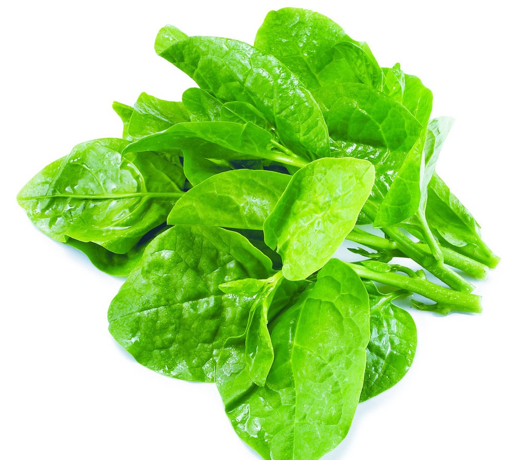 ANAM | Malabar Spinach 1kg | 木耳菜 | Mồng tơi 1KG