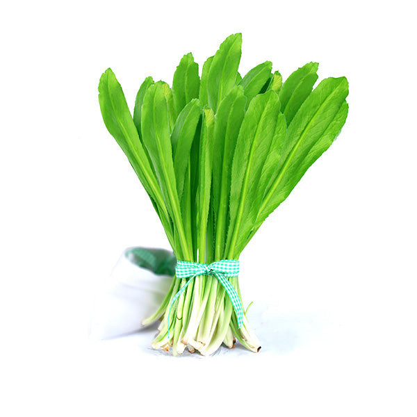 ANAM | Thai parsley/Culantro 100G | 刺芫荽 | Ngò gai 100G