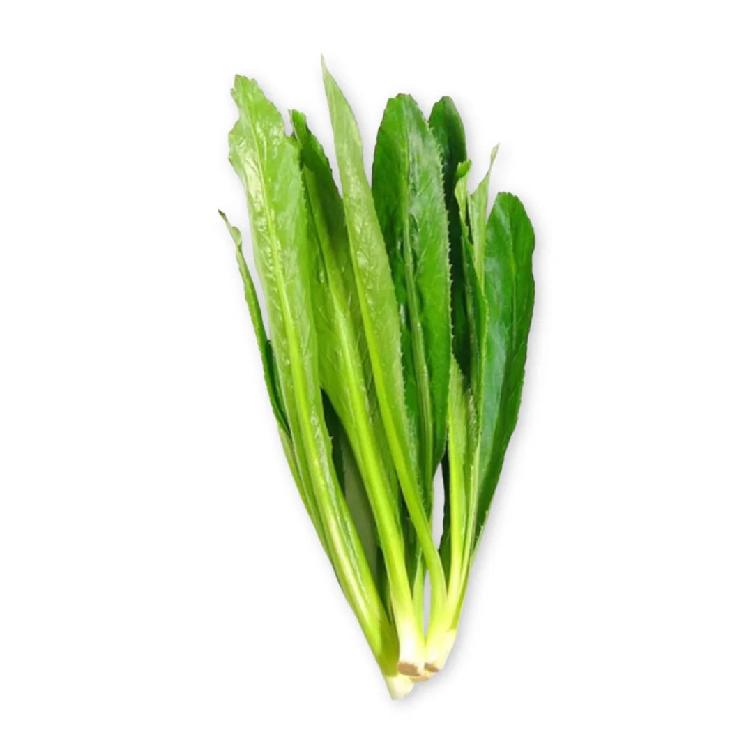ANAM | Thai Stinking Herb (Culantro) - kpl | 刺芫荽 | Ngo gai